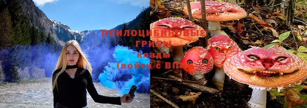 прущие грибы Сафоново