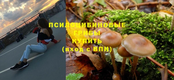 ГАЛЛЮЦИНОГЕННЫЕ ГРИБЫ Верхнеуральск