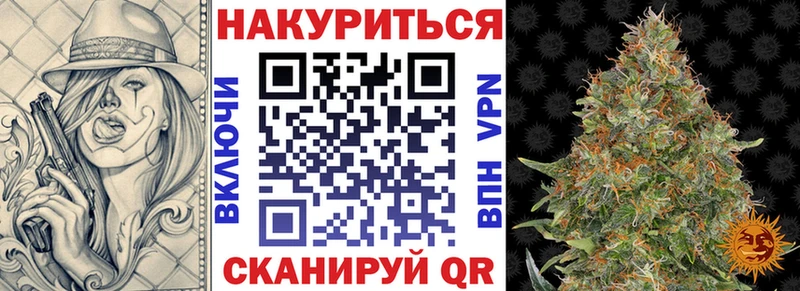 закладки  Ермолино  Канабис гибрид 